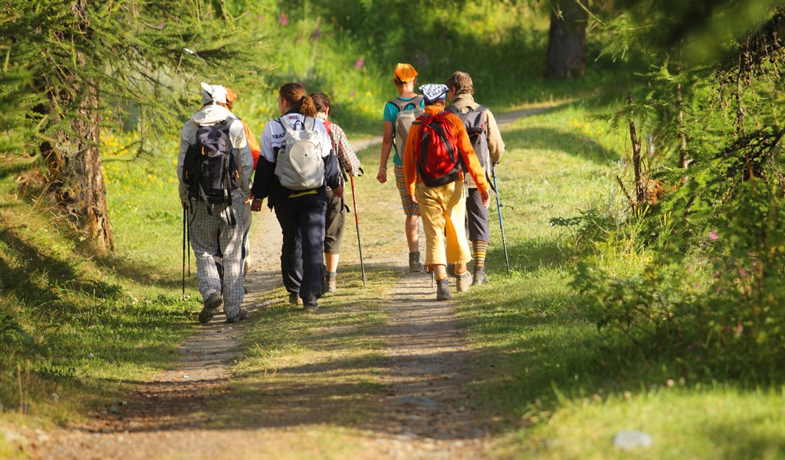 Bridge View Premium Shimla
